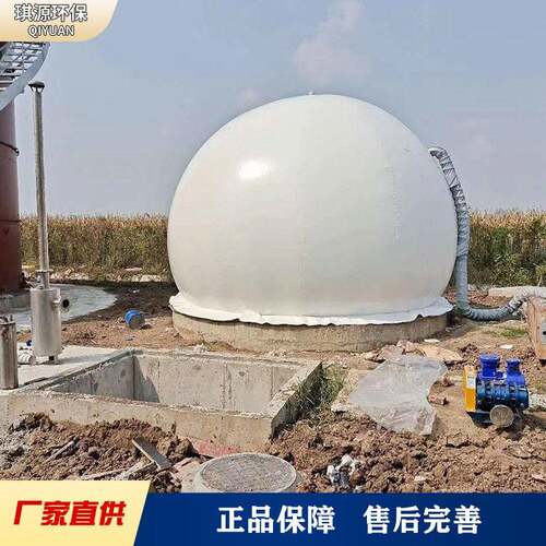 球形软体双膜气柜养殖场沼气工程气体存储设备独立干式沼气储气柜