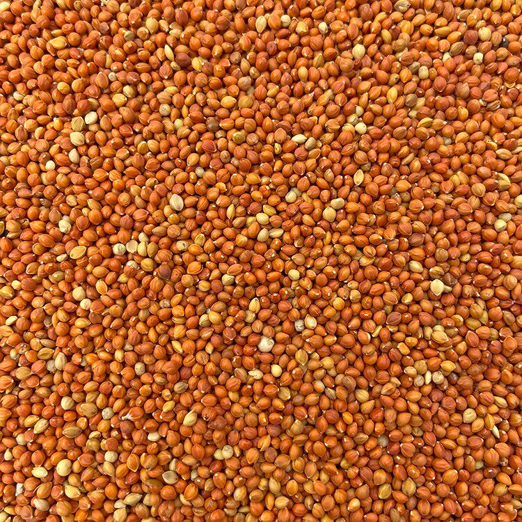 新上5斤 带壳红谷子 大颗粒带壳小米虎皮牡丹玄凤文鸟鸟食鸟粮
