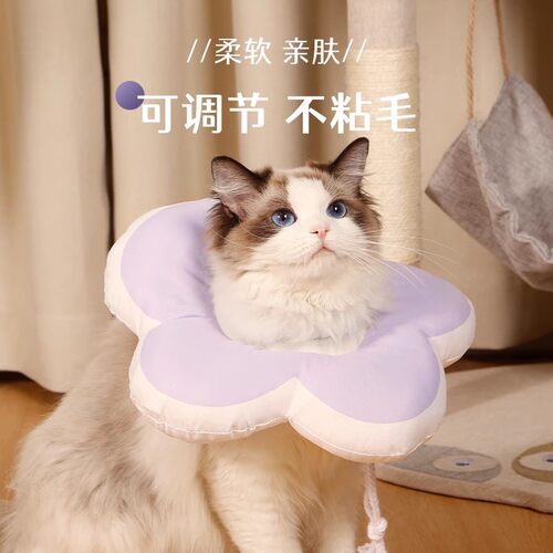 高品质伊丽莎白圈猫绝育项圈防舔除跳蚤英短猫咪脖圈颈圈头套狗