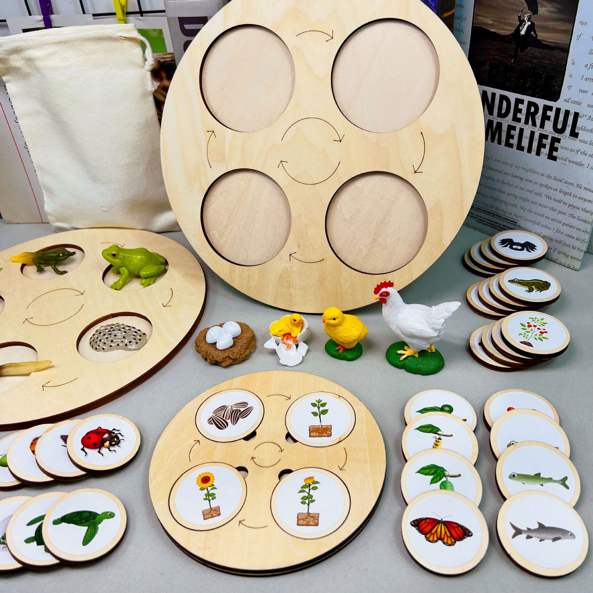 儿童益智昆虫成长认知玩具