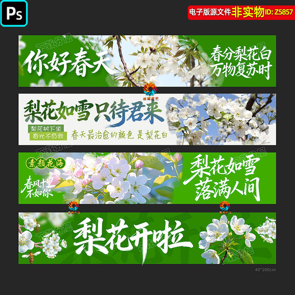 春天梨花节条幅横幅梨花季吊旗挂旗春日踏青赏花海报展板装饰素材