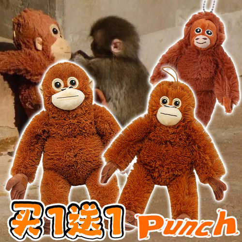 日本网红小猴子punch潘奇