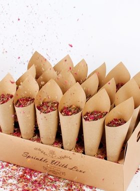 婚礼纸锥盒婚礼纸锥纸筒牛皮纸装饰花瓣纸屑托盘Natural Confetti