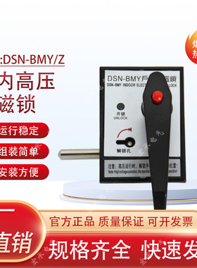 高压户内电磁锁DSN-BMY/BMZ开关柜用手柄式交直流通用