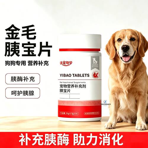 金毛专用狗狗胰宝片宠物胰腺保健品消化酶狗补胰酶狗用胰宝小狗犬