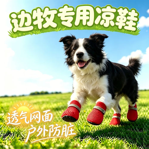 边牧幼犬专用狗狗凉鞋小狗鞋子夏透气宠物狗鞋夏季夏天外出遛弯鞋