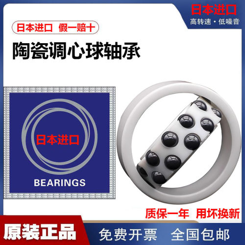 日本进口陶瓷耐腐蚀调心球轴承