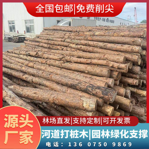 林业局直发打桩木松木桩杉木原木