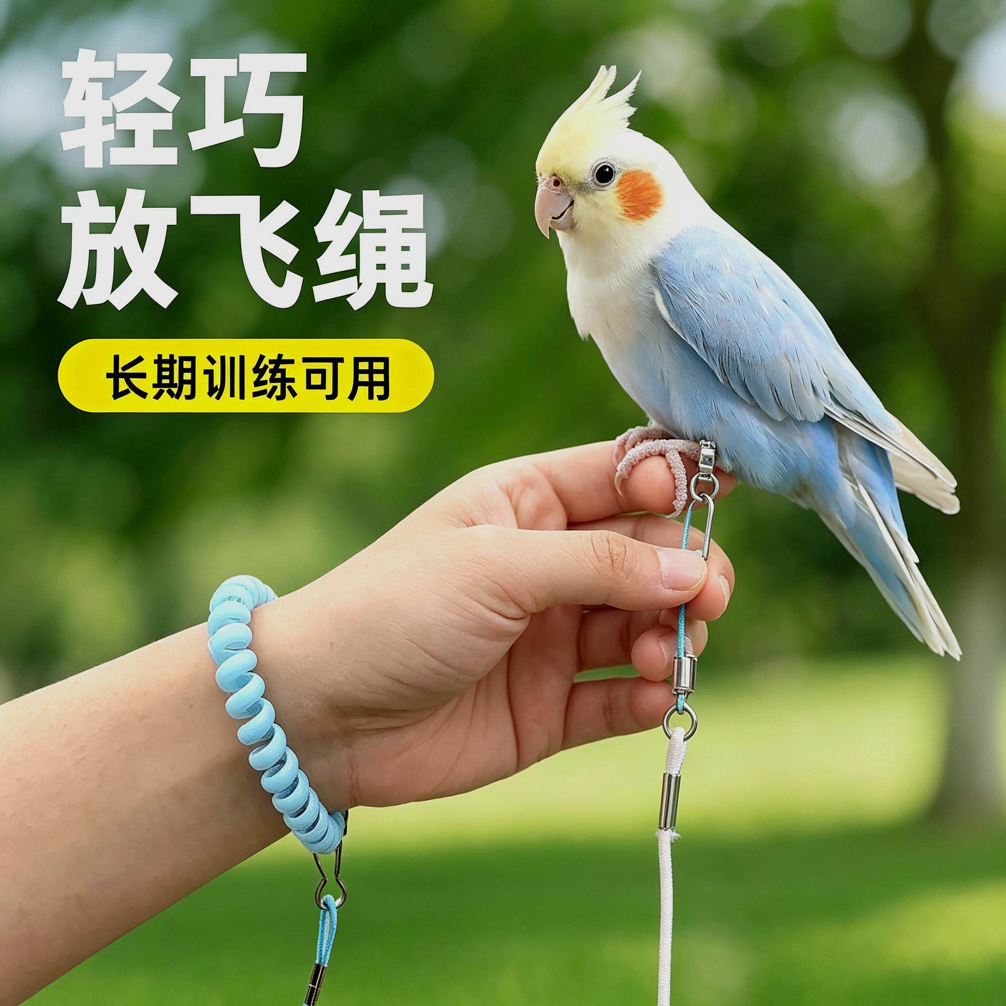 不伤脚外出和尚外出防飞小太阳