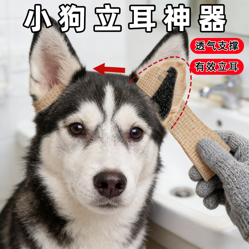 耳定型缠绕带高效训练小狗立耳