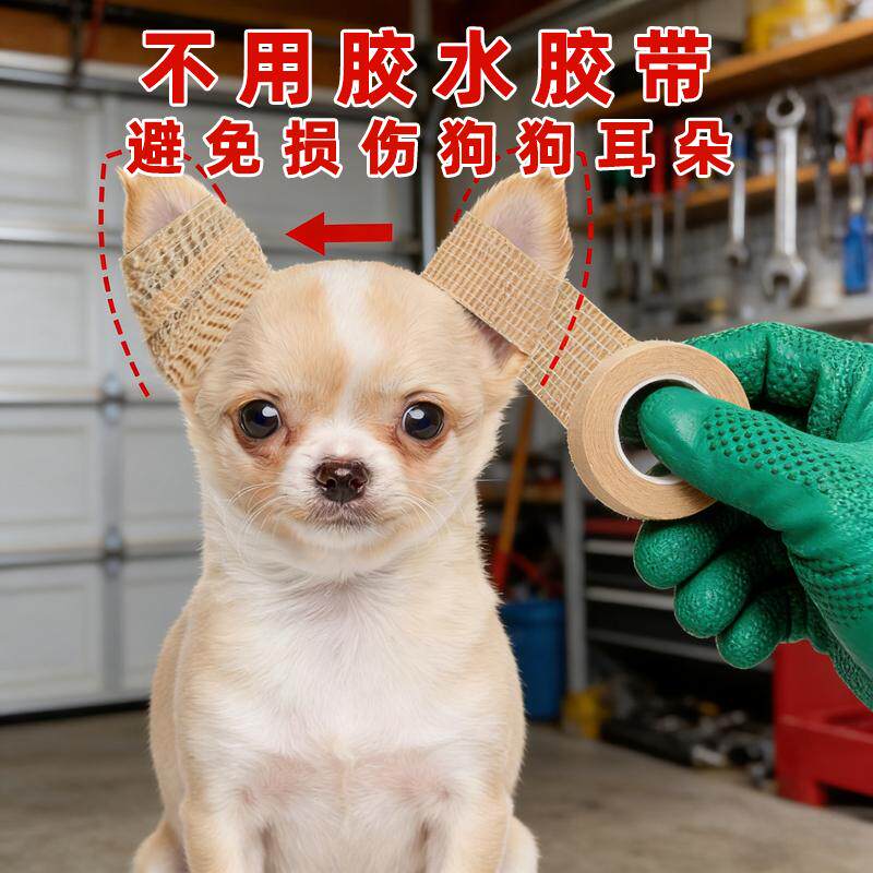 宠物耳朵训练带定耳期小狗立耳神