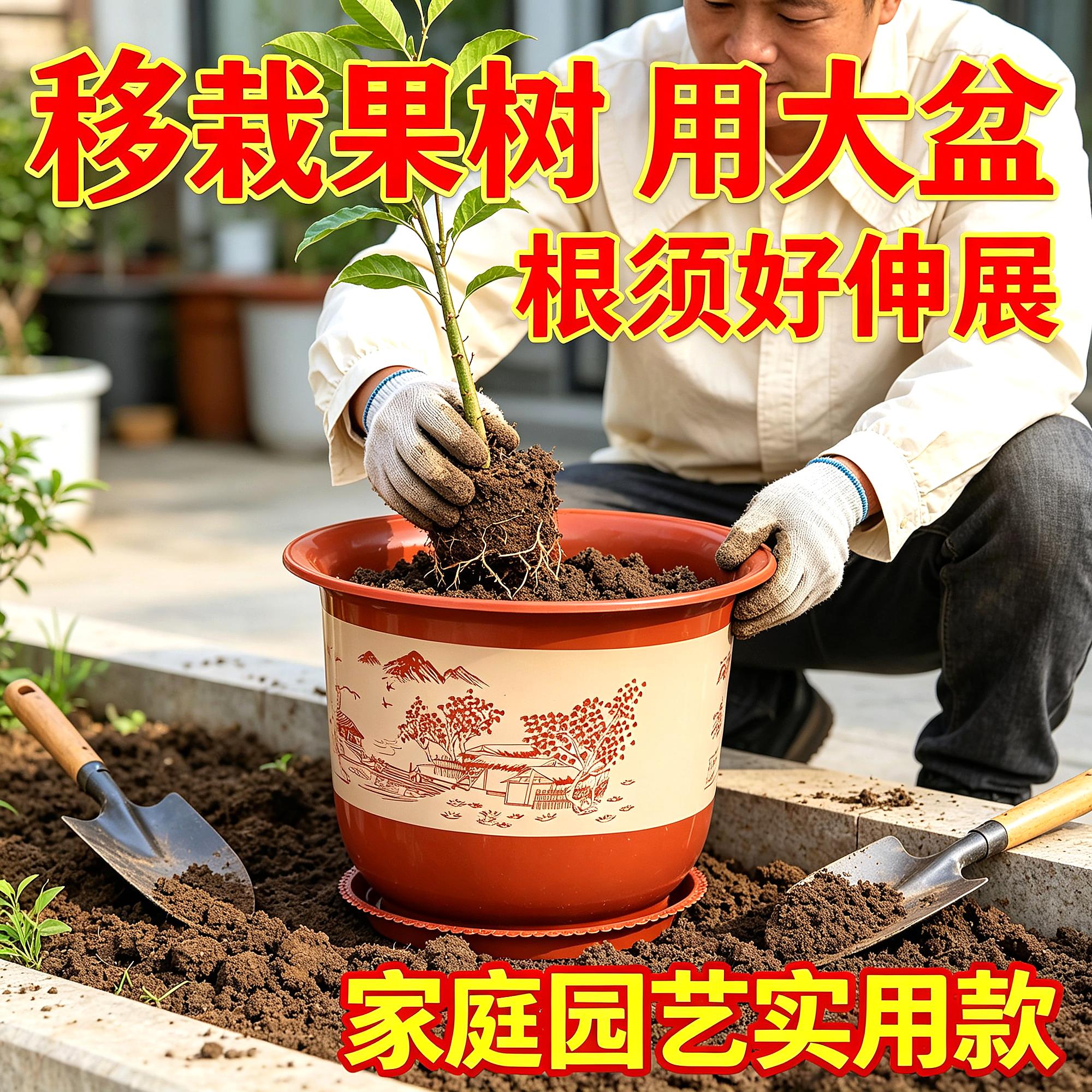 种树种菜阳台种菜特大号花盆客