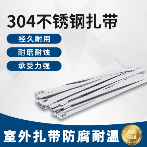 锁式抱箍锁款不锈钢扎带收紧器