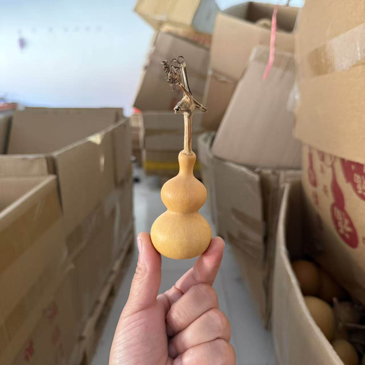 八宝文玩小葫芦手把件手捻盘玩天然精品钱袋子异型异形一物一图