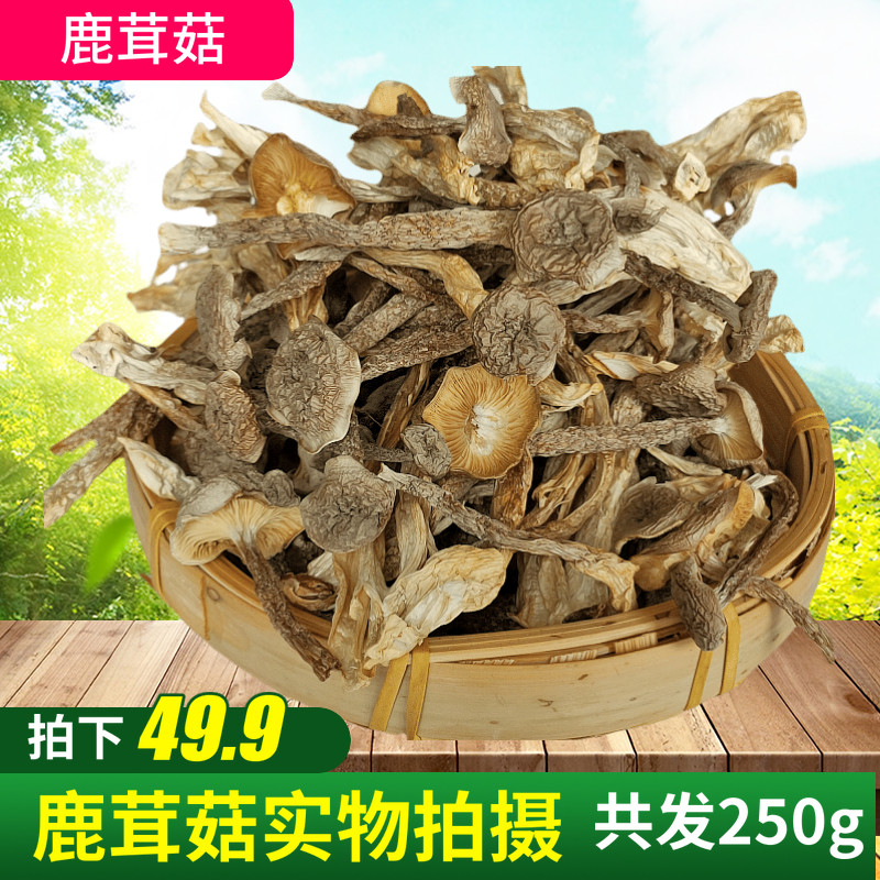 鹿茸菌鹿茸菇干货云南土特产新鲜野生营养蘑菇类菌类