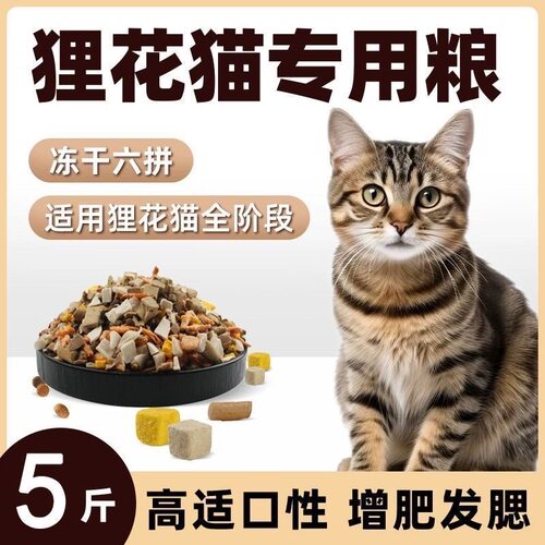 狸花猫专用冻干猫粮10斤猫食