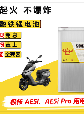 适用于极核电动车AE5i AE5i PRO磷酸铁锂电池直上大容量电瓶