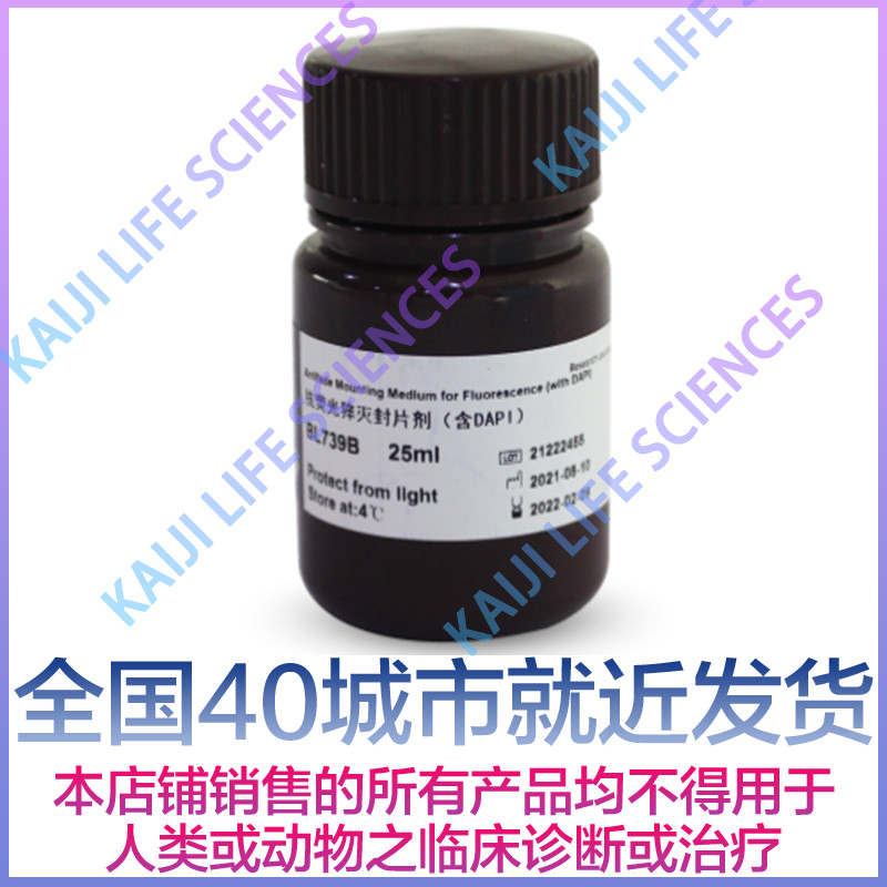 白鲨 Biosharp BL739B抗荧光淬灭封片剂(含DAPI) 25ml