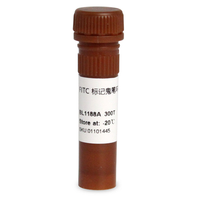 PhalloidinFITC标记鬼笔环肽