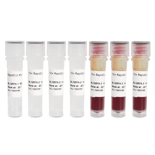 白鲨 Biosharp  BL1257A RapidCut XhoI 快速限制性内切酶