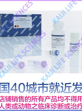 凯杰 Qiagen 28704 28706 凝胶回收试剂盒 Gel Extraction Kit