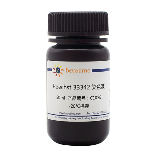 碧云天Beyotime C1025 C1026 Hoechst 33342染色液