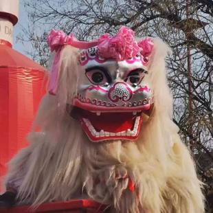 舞龙舞狮道具小白狮耗牛毛北京笑脸舞狮整套北狮双人舞狮厂家直销