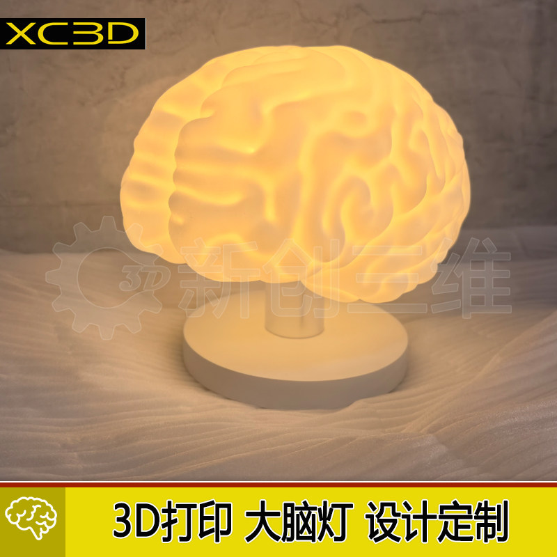 3D打印透明导光大脑心脏模型高端定制医学教学教具艺术灯大脑灯