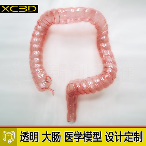 3D打印透明仿真结肠镜训练模型
