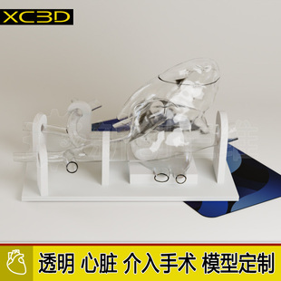 3D打印定制可拆卸透明心肺血管心脏介入手术模型射频消融术封堵术