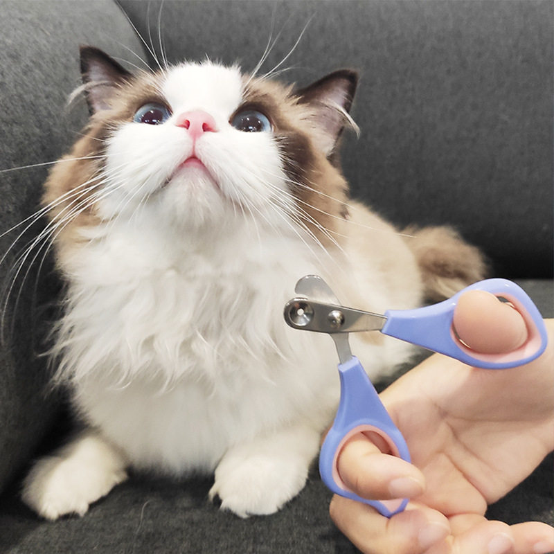 宠物指甲剪猫咪圆孔刀狗