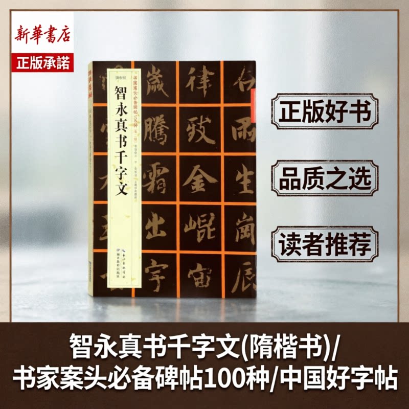 智永真书千字文及其笔法 经典碑帖笔法丛书 智永真楷书字帖 原碑帖墨迹放大范本 初学者入门毛笔书法临摹教材