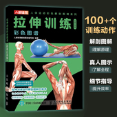 拉伸训练彩色图谱 口袋版