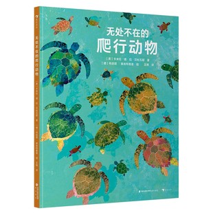 无处不在的爬行动物