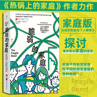 脆弱的家庭 热锅上的家庭作者力作 家庭版也许你该找个人聊聊 不同类型家庭在不同阶段面临的挑战