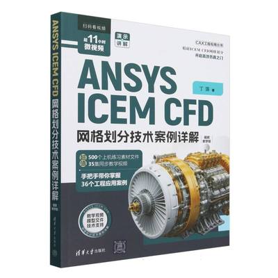 ANSYS ICEM CFD网格划分技术案例详解(视频教学版)/CAX工程应用丛书