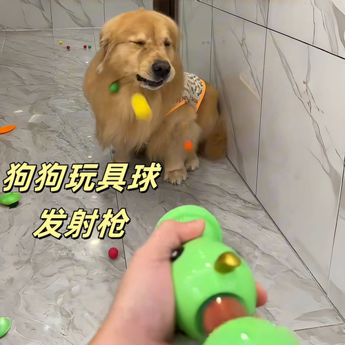 金毛玩具球发射枪自嗨解闷神器逗
