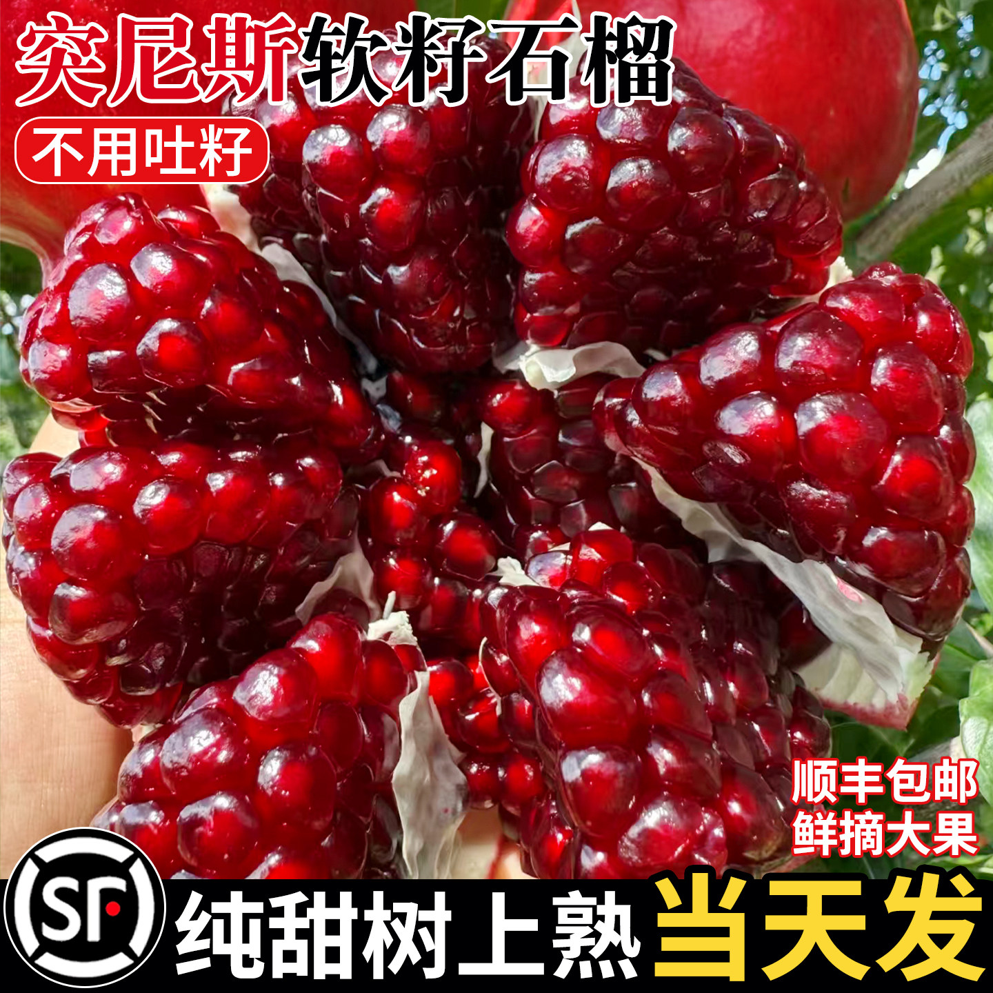 正宗会理突尼斯软籽石榴当季现摘