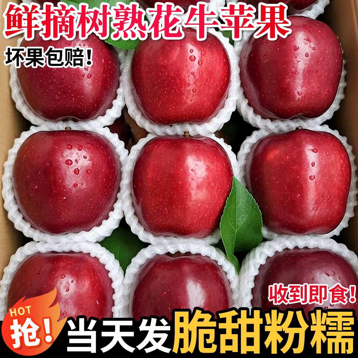 果怡芬正宗甘肃天水花牛苹果