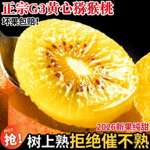 正宗黄心猕猴桃新鲜现摘自然熟