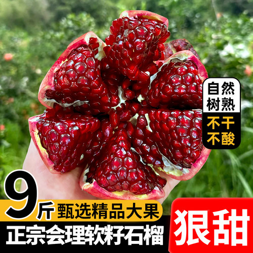 会理突尼斯软籽石榴A级品质爆甜