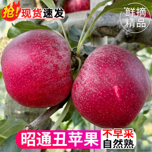 昭通冰糖心丑苹果甘甜爽脆