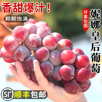 正宗妮娜皇后葡萄顺丰空运高品质
