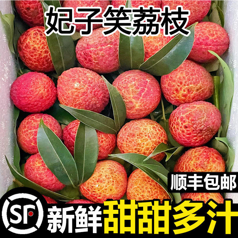 海南新鲜妃子笑荔枝5斤顺丰礼盒白糖王当季整箱水果婴荔枝现摘甜