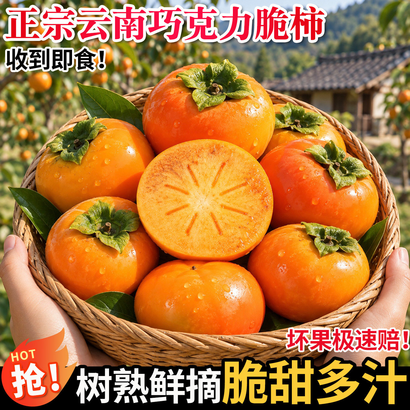 正宗巧克力脆柿新鲜水果冰糖心甜