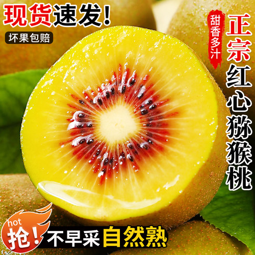 正宗四川红心猕猴桃现摘自然熟
