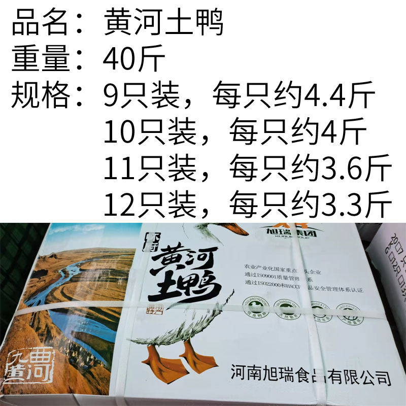 黄河土鸭商用冷冻鸭子整只新鲜农家散养生鲜全鸭哈尔滨粮食冻鸭