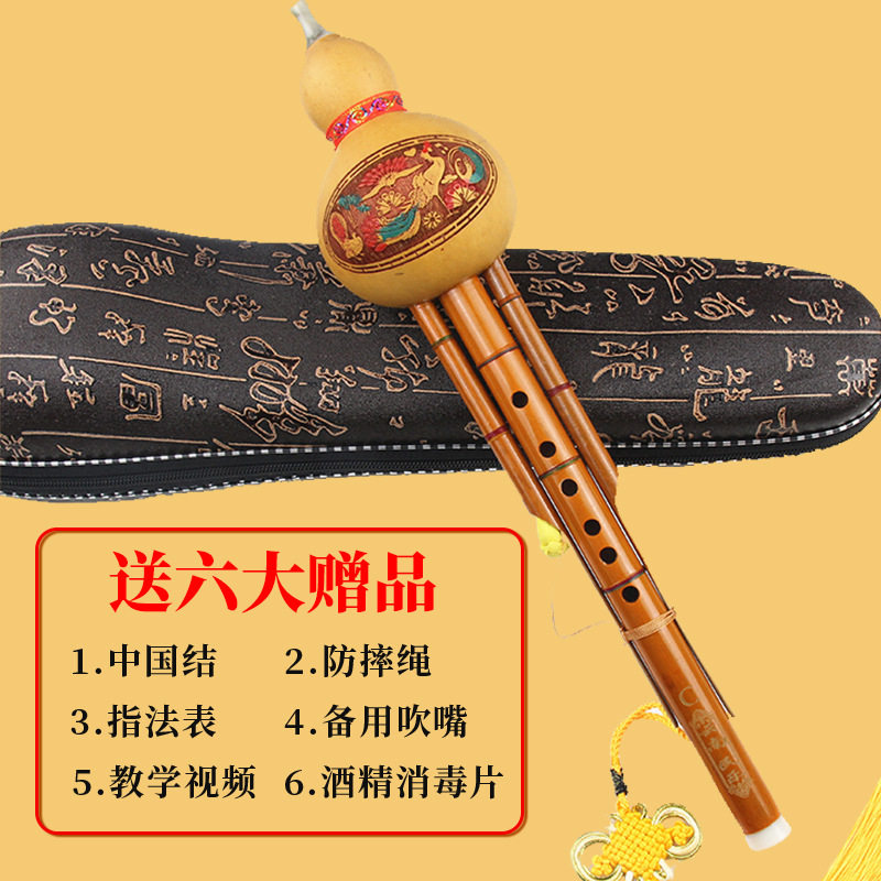 天然凤尾竹葫芦丝初学者C调降B调