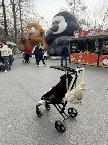 出租童车硕士南京推车童车婴儿车二胎车双胞胎车