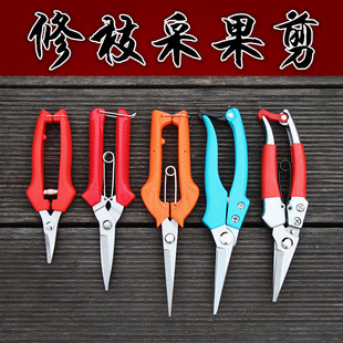 修枝剪树枝摘果葡萄果树园林工具粗枝采摘园艺剪刀家用摘水果神器